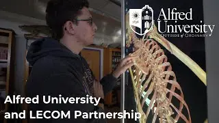 Alfred University and LECOM Partnership | Alfred University