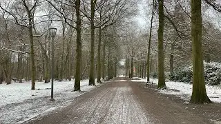 Peaceful Walk in Middelheim Park ❄️ Antwerp | Natural Walking Sounds