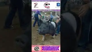 OSF HOG BARN SESSION III DAY III 1