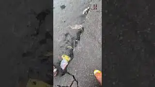 Heavy Rains Wreak Havoc in Buea, Leaving Streets Flooded and Property Damaged