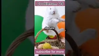 Top 10 Animal Tricks With a Tasty Twist