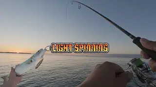 LIGHT SPINNING - DE NORTE A SUL DE PORTUGAL