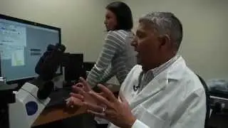 Prenatal nicotine exposure may lead to ADHD in future generations