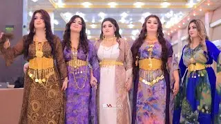 الفنان ناجي شنكالي حنة هيتم  و اسيا في قاعة ازادي شنكال جزء 4