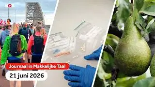 Start wandelvierdaagse Nijmegen, zorg over online kopen medicijnen en peer is geen populair fruit.