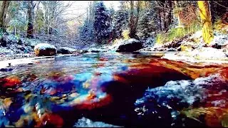 Calming Frozen Forest Stream. Relaxing Nature. 10 hours
