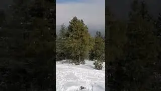 Azad# kashmir #snow #fall view#