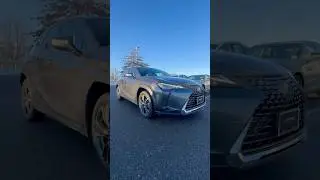 Lexus Certified UX 300h Cloudburst gray with Birch interior