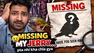 Aaj jerry missing ho gay 