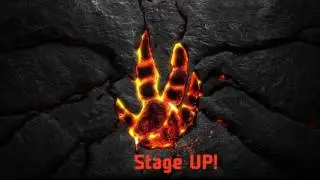 Evolve Live Stream