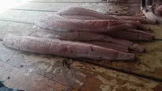      COMO SE PREPARA LAS ANGUILLAS