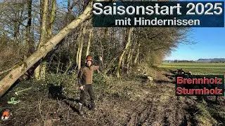 🌲 Sturmholz sicher zu Boden bringen – Ohne Technik und Winde? Keine Chance! 💪