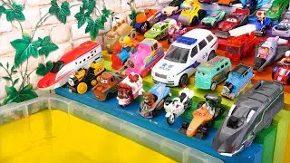 Tomica ☆ Police Car & Paw Patrol & Thomas & Tayo Bus ♪ Testing Them on A Rainbow Slope!