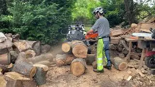 Finger ported Husqvarna 50 vs pin oak