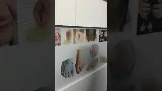 Nakli hath l Nakli kan l Nakli nak l Nakli ungli l Cosmetic prosthesis/ silicon prostheses