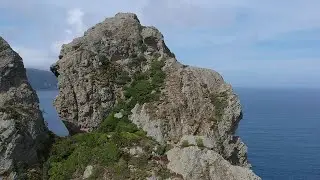 Hen and Chicken Islands, New Zealand