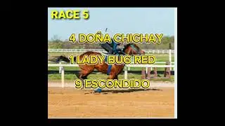 NOVEMBER 15 2025 PJC HAPI JOCKEY CLUB RACING KARERA TIPS SABADO RACING 