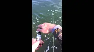 Depth Skru 