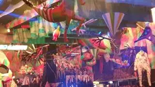El row Fabrik carnaval 2020