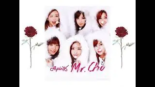 APINK - MR CHU (SPOTIFY VERSION) SPED UP/NIGHTCORE