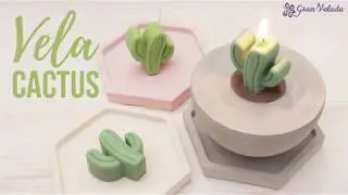 Vela cactus