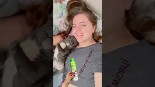 Скільки коштує французький бульдог #mirosyalook