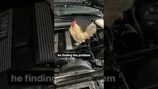 Have you tried turning it off and back on