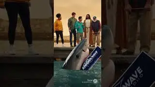 Did we just give marketing materials to a shark? #comedyshorts #knightwaveradio #funny