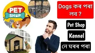 Dogs কৰ পৰা লব ? Pet Shop , Kennel নে ঘৰৰ Breed kora Puppy লব ? ঠগ খোৱাৰ আগতে Video টো চাওঁক 🙏
