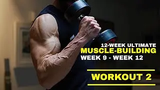 12-Week Ultimate Muscle-Building Program | Week 9 - Week 12 | Workout 2