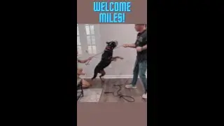 Welcome Miles!