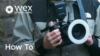 How To | Shoot Macro with OM System M Zuiko ED 90mm f3.5 Macro IS PRO Lens