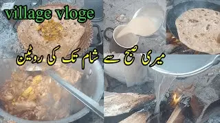 subha sy sham ki routine|village life|daily routine vlog|break fast|dinner|Pakistani vlogs