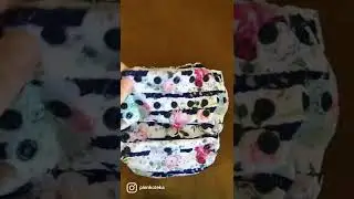 Smart Bottoms Smart One 3.1