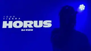 REDI / EL INCOMPRENDIDO - HORUS - BUENOS AIRES, 2024 @HORUSTierra