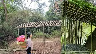 Kitchen renovation || Camping alone in the forest - making smoked fish
