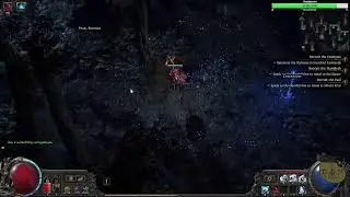 POE 2 Druid werewolf time! Act 4