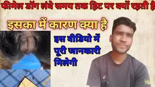 फीमेल डॉग लंबे समय तक ब्लीडिंग क्यों करती है