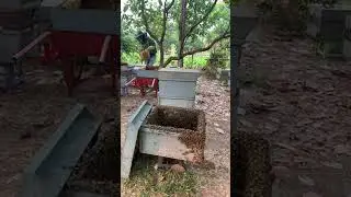 WeBee | harvesting honey bee 🐝