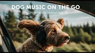 Dog Music to Calm Them Before a Vet Appointment | Reduce Stress Naturally
