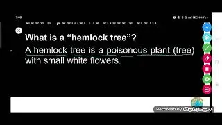 What is a 
