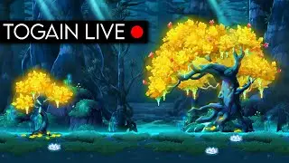 [Togain - GMS Bera] Give me my 20,000 Maple Points