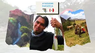 VIVE LA EXPERIENCIA | PARARCA AYACUCHO | VIDEO 2/2 | 2021