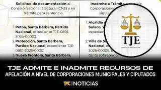 TJE admite e inadmite recursos de apelación a nivel de corporaciones municipales y diputados