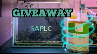 SAPLC Aquascaping contest | PLANTEDBOX GIVE AWAY