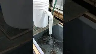 Minnow bait tank.
