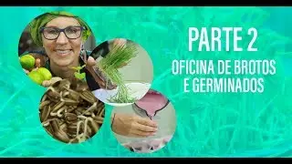 Oficina de Brotos & Sucos Terapêuticos - Parte 2