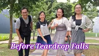 Before Teardrop Falls - Line Dance                       (High Beginner)