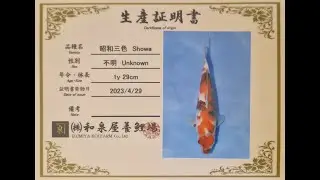 Azukari Challenge Japan 2023