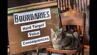 Boundary enforcement